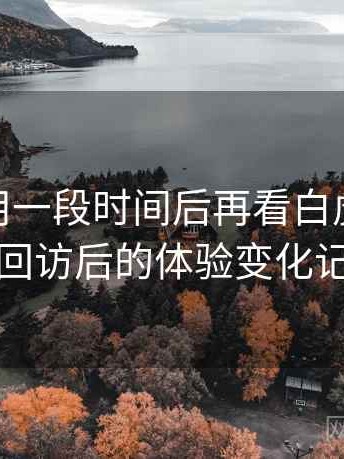 连续使用一段时间后再看白虎91：多次回访后的体验变化记录