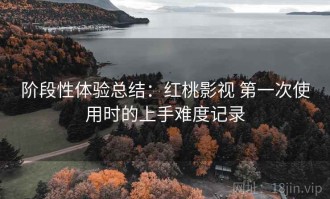阶段性体验总结：红桃影视 第一次使用时的上手难度记录