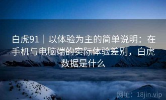 白虎91｜以体验为主的简单说明：在手机与电脑端的实际体验差别，白虎数据是什么