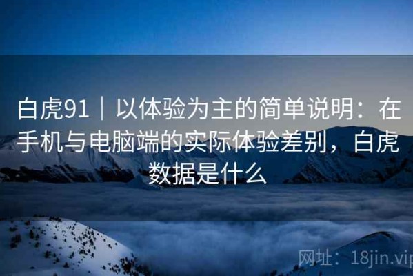 白虎91｜以体验为主的简单说明：在手机与电脑端的实际体验差别，白虎数据是什么