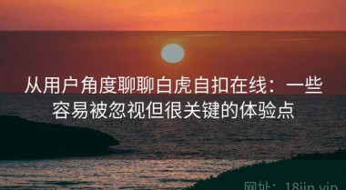从用户角度聊聊白虎自扣在线：一些容易被忽视但很关键的体验点