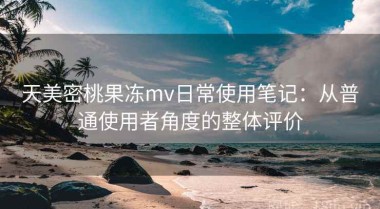 天美密桃果冻mv日常使用笔记：从普通使用者角度的整体评价