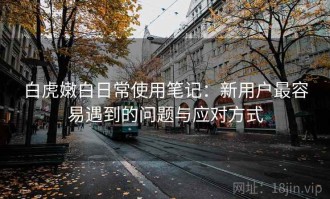 白虎嫩白日常使用笔记：新用户最容易遇到的问题与应对方式