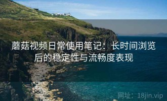 蘑菇视频日常使用笔记：长时间浏览后的稳定性与流畅度表现