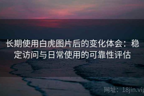 长期使用白虎图片后的变化体会：稳定访问与日常使用的可靠性评估