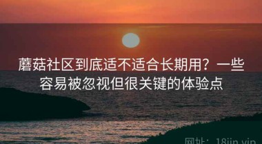蘑菇社区到底适不适合长期用？一些容易被忽视但很关键的体验点