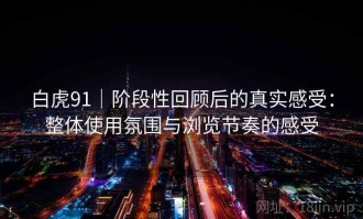 白虎91｜阶段性回顾后的真实感受：整体使用氛围与浏览节奏的感受