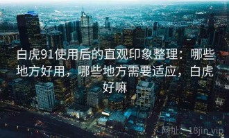 白虎91使用后的直观印象整理：哪些地方好用，哪些地方需要适应，白虎好嘛