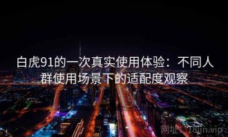 白虎91的一次真实使用体验：不同人群使用场景下的适配度观察