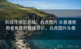 阶段性体验总结：白虎图片 从普通使用者角度的整体评价，白虎图片头像