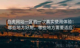 白虎网站一区的一次真实使用体验：哪些地方好用，哪些地方需要适应