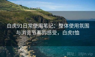 白虎91日常使用笔记：整体使用氛围与浏览节奏的感受，白虎t恤