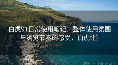白虎91日常使用笔记：整体使用氛围与浏览节奏的感受，白虎t恤