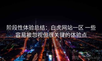 阶段性体验总结：白虎网站一区 一些容易被忽视但很关键的体验点