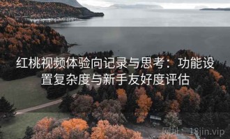 红桃视频体验向记录与思考：功能设置复杂度与新手友好度评估