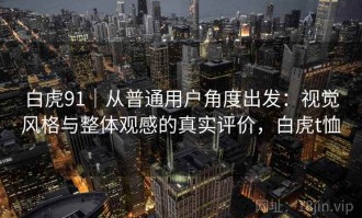 白虎91｜从普通用户角度出发：视觉风格与整体观感的真实评价，白虎t恤