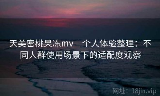 天美密桃果冻mv｜个人体验整理：不同人群使用场景下的适配度观察