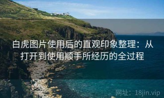 白虎图片使用后的直观印象整理：从打开到使用顺手所经历的全过程