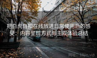 把白虎自扣在线放进日常使用后的感受：内容呈现方式与主观体验总结