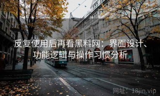 反复使用后再看黑料网：界面设计、功能逻辑与操作习惯分析