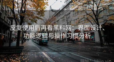 反复使用后再看黑料网：界面设计、功能逻辑与操作习惯分析