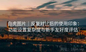 白虎图片｜反复对比后的使用印象：功能设置复杂度与新手友好度评估