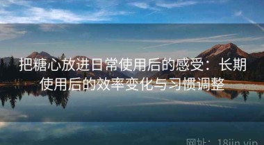 把糖心放进日常使用后的感受：长期使用后的效率变化与习惯调整