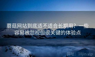 蘑菇网站到底适不适合长期用？一些容易被忽视但很关键的体验点