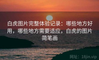 白虎图片完整体验记录：哪些地方好用，哪些地方需要适应，白虎的图片简笔画