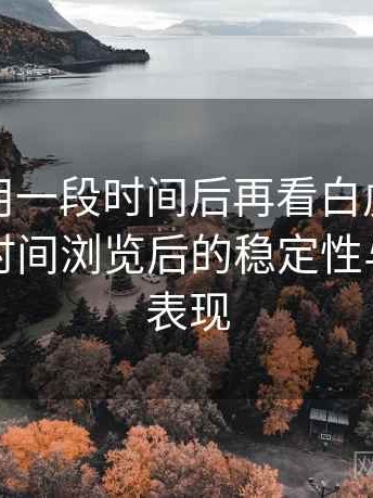 连续使用一段时间后再看白虎网站一区：长时间浏览后的稳定性与流畅度表现