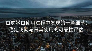 白虎嫩白使用过程中发现的一些细节：稳定访问与日常使用的可靠性评估