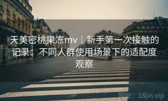 天美密桃果冻mv｜新手第一次接触的记录：不同人群使用场景下的适配度观察