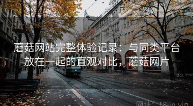 蘑菇网站完整体验记录：与同类平台放在一起的直观对比，蘑菇网片