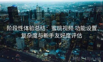 阶段性体验总结：蜜桃视频 功能设置复杂度与新手友好度评估