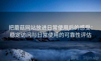 把蘑菇网站放进日常使用后的感受：稳定访问与日常使用的可靠性评估