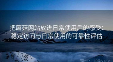 把蘑菇网站放进日常使用后的感受：稳定访问与日常使用的可靠性评估