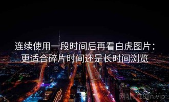 连续使用一段时间后再看白虎图片：更适合碎片时间还是长时间浏览