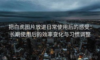 把白虎图片放进日常使用后的感受：长期使用后的效率变化与习惯调整
