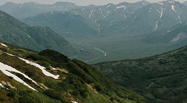 蘑菇社区使用过程中发现的一些细节：视觉风格与整体观感的真实评价