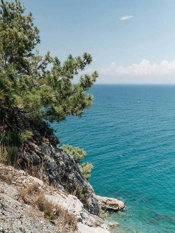 连续使用一段时间后再看蘑菇视频：整体使用氛围与浏览节奏的感受