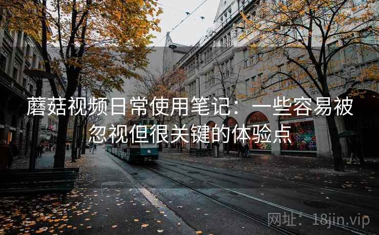 蘑菇视频日常使用笔记：一些容易被忽视但很关键的体验点