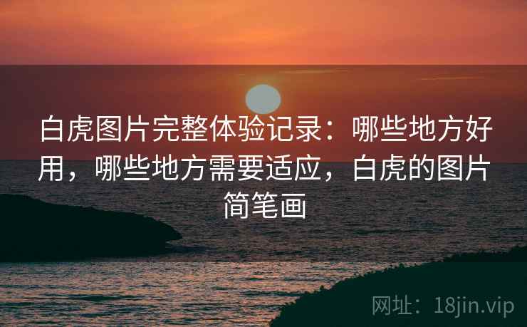 白虎图片完整体验记录：哪些地方好用，哪些地方需要适应，白虎的图片简笔画