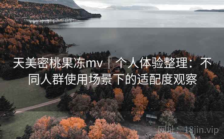 天美密桃果冻mv｜个人体验整理：不同人群使用场景下的适配度观察