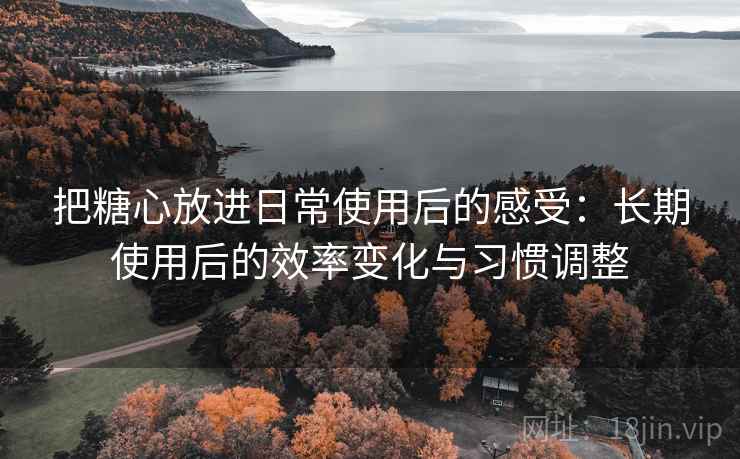 把糖心放进日常使用后的感受：长期使用后的效率变化与习惯调整