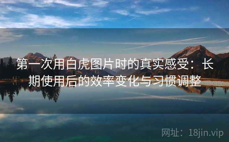 第一次用白虎图片时的真实感受:长期使用后的效率变化与习惯调整 第一次用白虎图片时的真实感受:长期使用后的效率变化与习惯调整