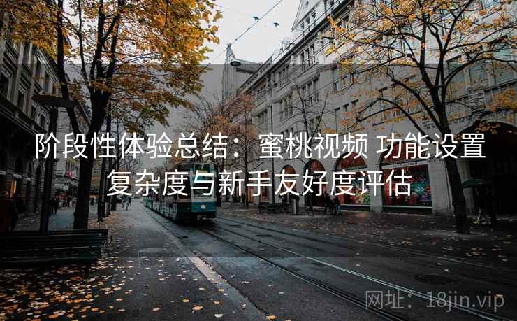 阶段性体验总结:蜜桃视频 功能设置复杂度与新手友好度评估 阶段性体验总结:蜜桃视频 功能设置复杂度与新手友好度评估