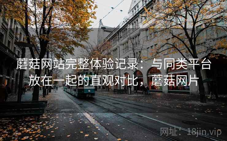 蘑菇网站完整体验记录：与同类平台放在一起的直观对比，蘑菇网片