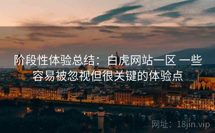 阶段性体验总结:白虎网站一区 一些容易被忽视但很关键的体验点 阶段性体验总结:白虎网站一区 一些容易被忽视但很关键的体验点