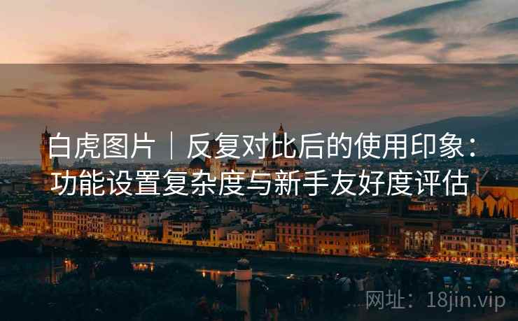 白虎图片|反复对比后的使用印象:功能设置复杂度与新手友好度评估 白虎图片|反复对比后的使用印象:功能设置复杂度与新手友好度评估