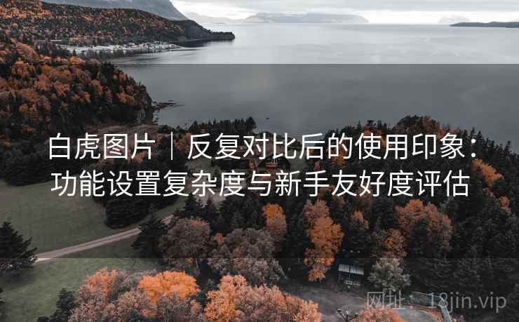 白虎图片|反复对比后的使用印象:功能设置复杂度与新手友好度评估 白虎图片|反复对比后的使用印象:功能设置复杂度与新手友好度评估